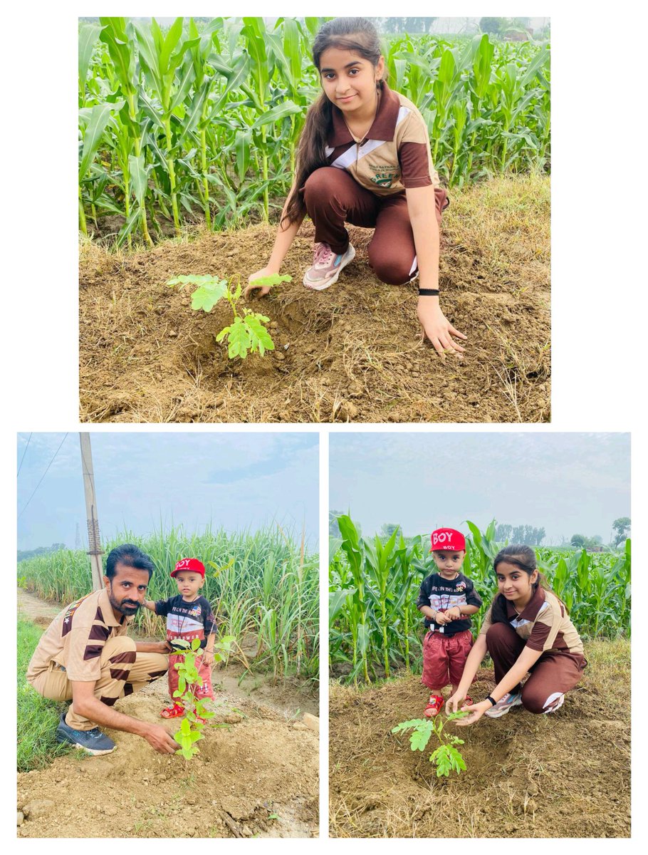 DeepakArora83's tweet photo. On this #WorldEnvironmentDay, let us pledge that we will protect our Mother Earth, plant trees, reduce pollution. Millions of followers of Dera Sacha Sauda are already performing their duties, under the inspiration of Saint Gurmeet Ram Rahim Ji. 
#WorldEnvironmentDay2026 https://t.co/FkWFHD4r9L
