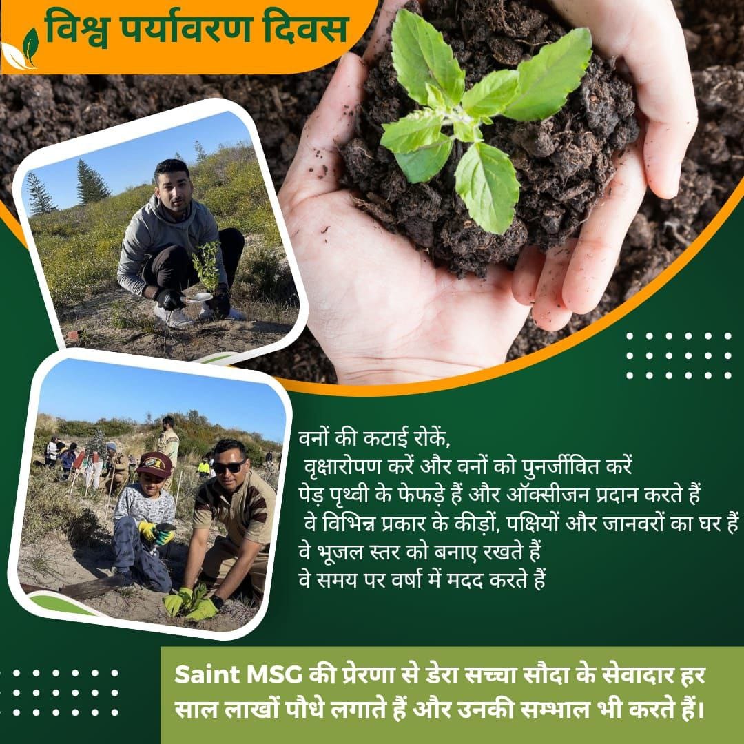vijaysa12381851's tweet photo. Nature is our greatest asset, and protecting it is our shared responsibility. This #WorldEnvironmentDay, let's plant more trees, reduce waste, and build a greener future. Inspired by Saint Gurmeet Ram Rahim Ji, let's make every day an Environment Day.🌍🌱
#WorldEnvironmentDay2026 https://t.co/mE8t0rMwBd