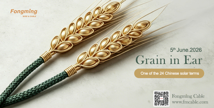 FongmingCable's tweet photo. Grain in Ear (Mangzhong) arrives!
Harvest ripe wheat, sow fresh seeds.
Grain your hopes, reap your summer joy!
Tag：#GrainInEar #24solarterms #Chinesesolarterm https://t.co/xAxxdT9q8h