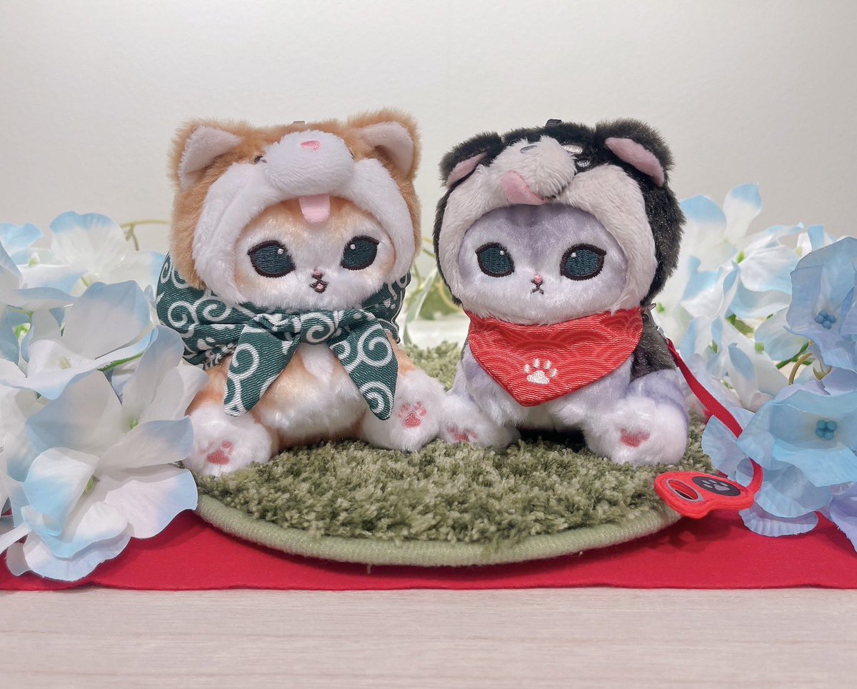 mofusand もふもふストア (@mofumofu_store) / Posts / X