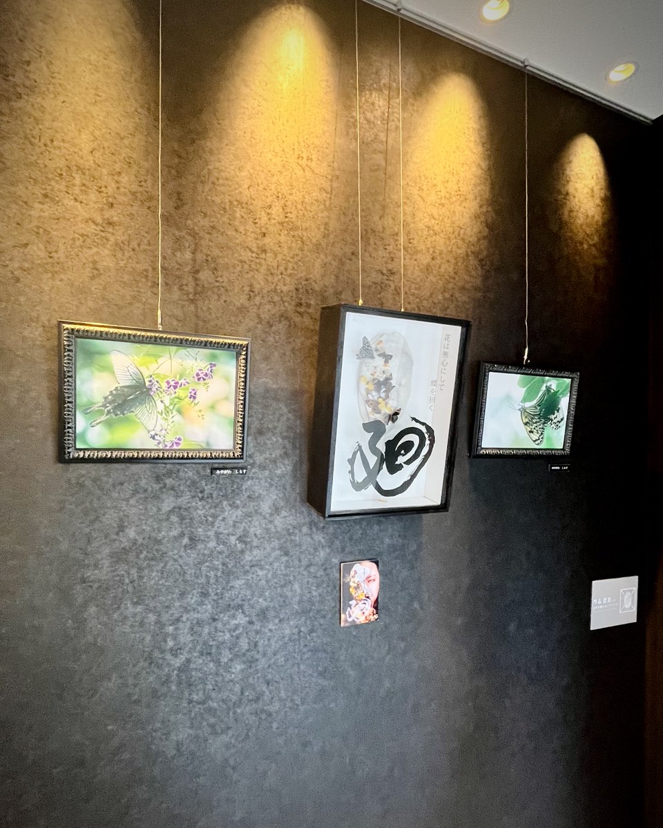 magmag_osaka's tweet photo. 『蝶×CHIE 作品展　花は無心にして蝶を招く』開催中！
ぜひお立ち寄りください。

会期：6月4日(木) 〜 6月9日(火)
11時～20時 ※最終日は～18時まで
会場：MAG 南森町アートギャラリー

#CHIE展 https://t.co/B4grIk6vaV