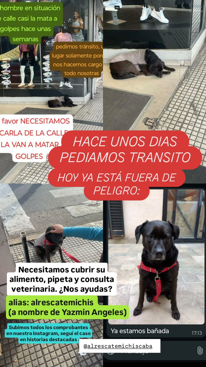 Yazzbpt's tweet photo. yo: "tengo mil cosas que hacer y no tengo tiempo"
también yo: "vamos a tomar el caso de esta perra" https://t.co/ut5b2THUuX