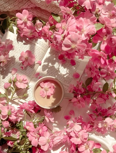 servesloane's tweet photo. I just received $10 coffee from Sherlock via https://t.co/KbVk8gtTRO 💗 https://t.co/31LF73L3JA