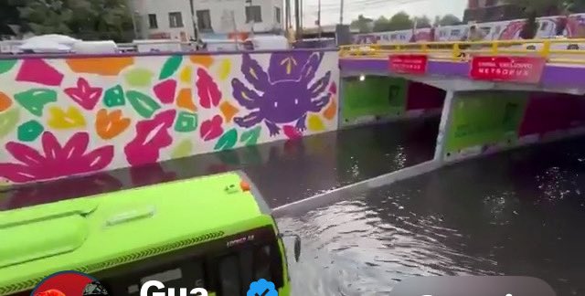 Elycdmx's tweet photo. @ClaraBrugadaM @OVIALCDMX Tuuu? Trabajas tuuuu? No hay día que no estés de fiesta por el mundial o  inaugurando alguna estúpida  inservible obra inconclusa! Ere ignorante, ineficiente, una palera que llegó al poder sin preparación, solo funcionas para el populismo garnachero ! Asi tus Inches ajolotes https://t.co/TPuzdPwo5R