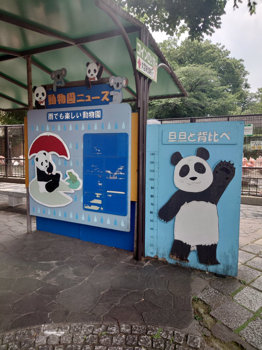 D09667463's tweet photo. パンダ見に来ました〜😎 https://t.co/Eqv8Wy1chb