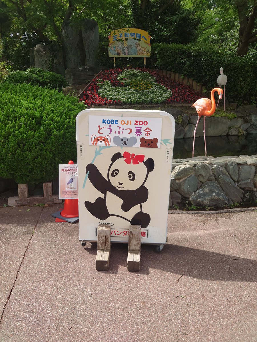 D09667463's tweet photo. パンダ見に来ました〜😎 https://t.co/Eqv8Wy1chb