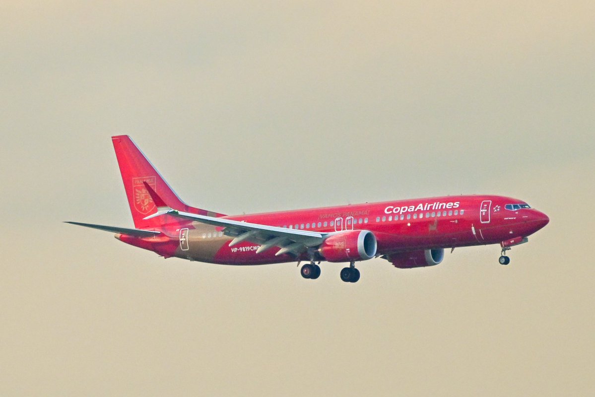 HellbenderSTL's tweet photo. Not every day you see a national team’s 🔥 custom livery on approach into St. Louis.

Panama’s Copa Airlines special livery 737 arriving ahead of Saturday’s match against Bosnia & Herzegovina. 🇵🇦✈️

Welcome to STL, @fepafut!! @flystl @AviationStl 
📸: My photos

#Panama #FEPAFUT #CopaAirlines #STL #AvGeek #WorldCup