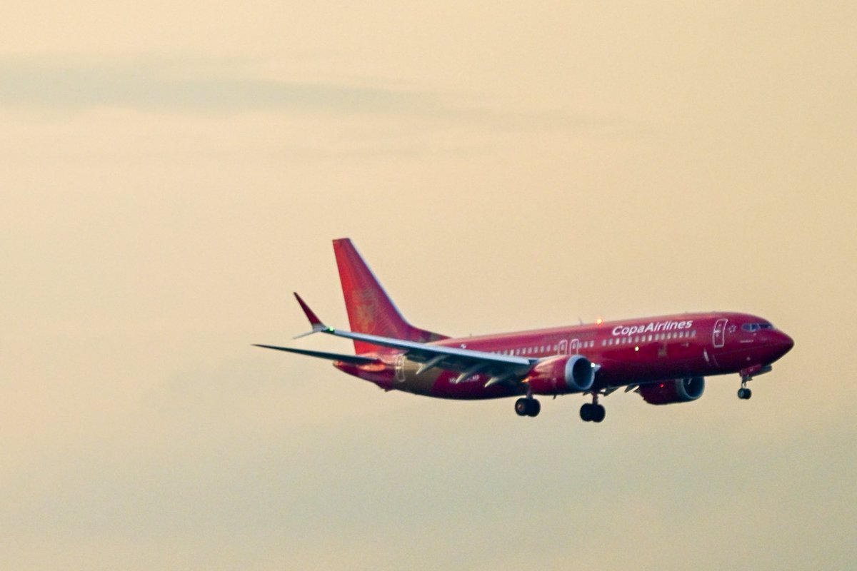 HellbenderSTL's tweet photo. Not every day you see a national team’s 🔥 custom livery on approach into St. Louis.

Panama’s Copa Airlines special livery 737 arriving ahead of Saturday’s match against Bosnia & Herzegovina. 🇵🇦✈️

Welcome to STL, @fepafut!! @flystl @AviationStl 
📸: My photos

#Panama #FEPAFUT #CopaAirlines #STL #AvGeek #WorldCup