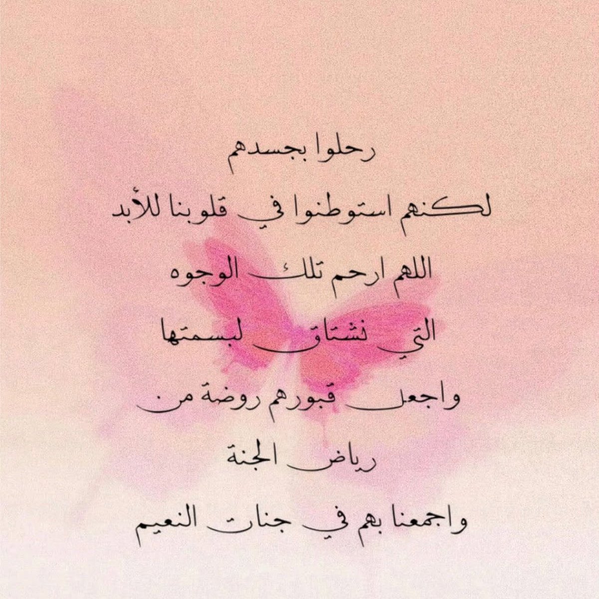 Hanosaleh433's tweet photo. https://t.co/DM56XlAdE8