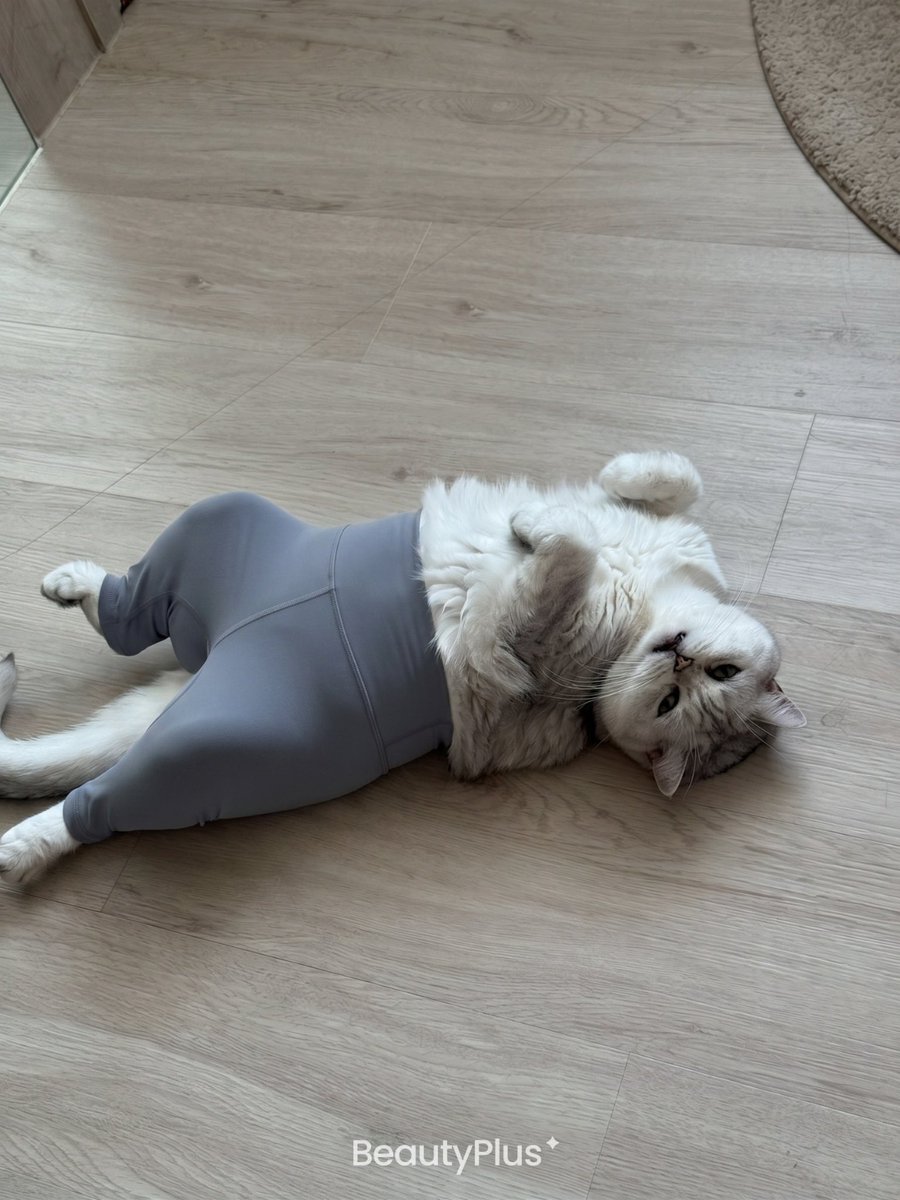 Bonusiie's tweet photo. 55555555555555555555555 https://t.co/sCemqTppQz