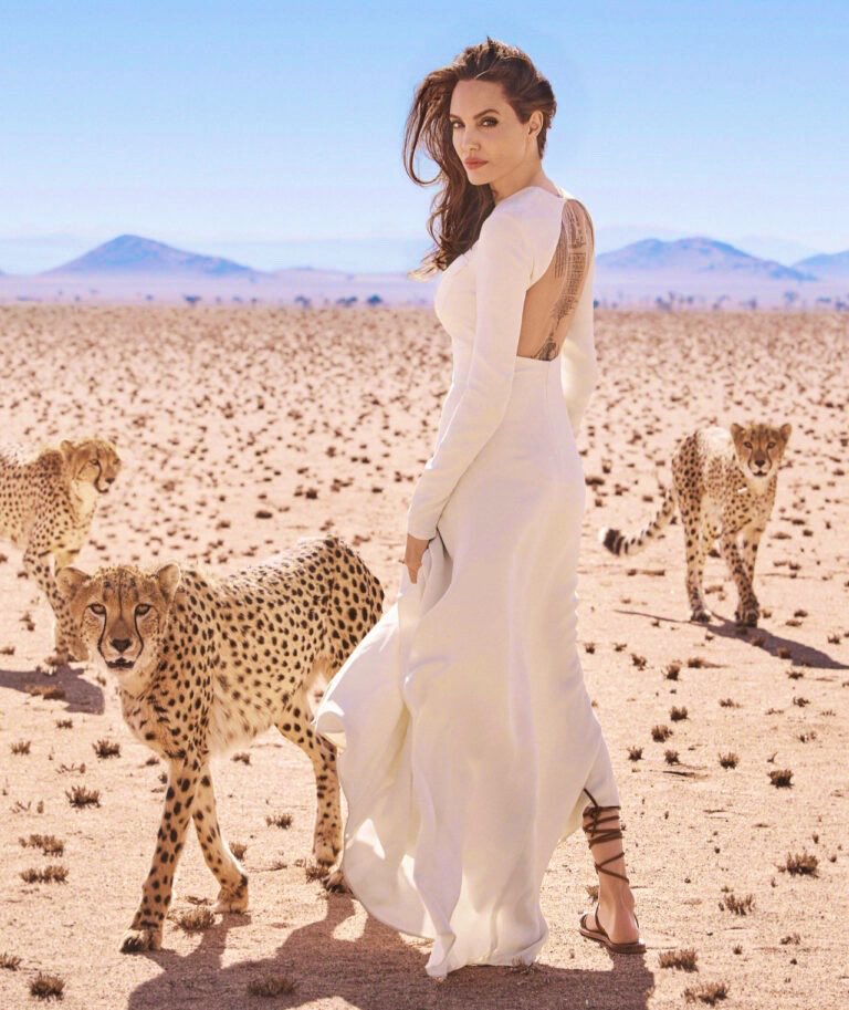 BestFamousFaces's tweet photo. Angelina Jolie https://t.co/oJF3cIHQKn