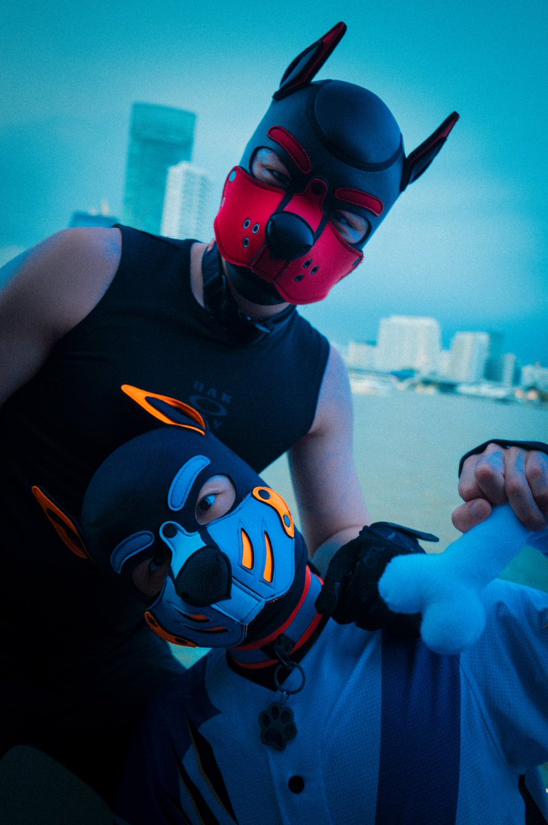 PAWPRINT_T's tweet photo. Cutie Fengdi~ @Pupfengdi 
📷@PUP_Jeffrey https://t.co/BFouGiBWVh