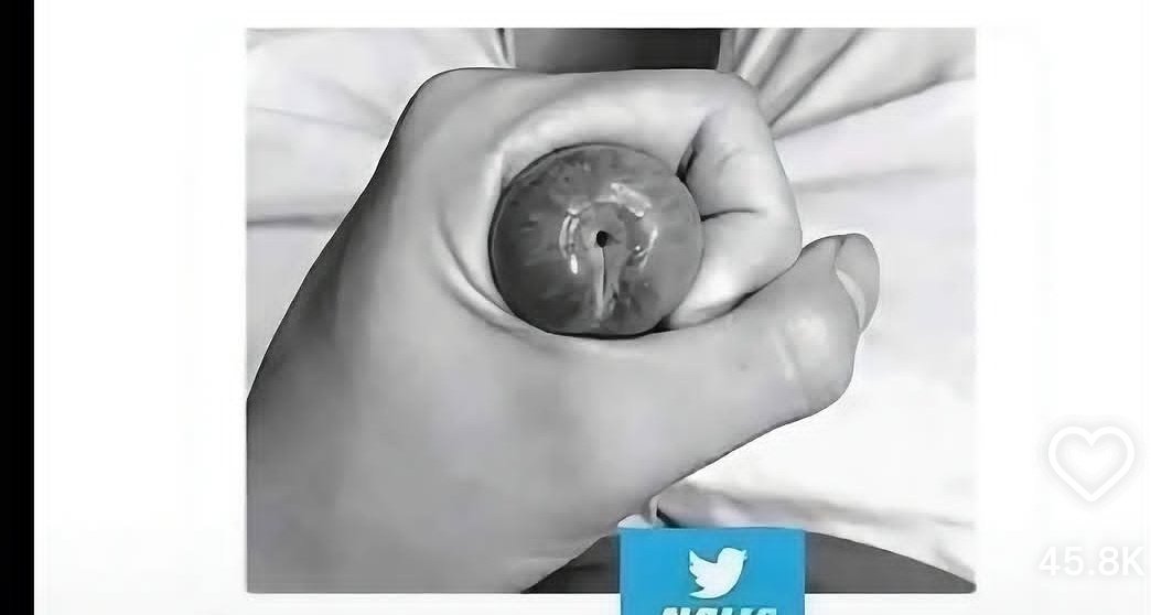 VirgoLady ♍🌻 tweet media