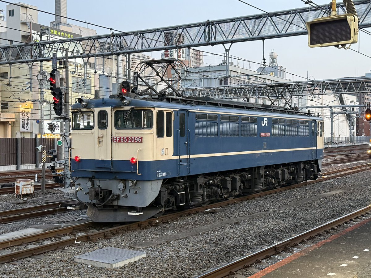昔は比較的よく見かけたが、今は見る機会が減った… 一部はブルー