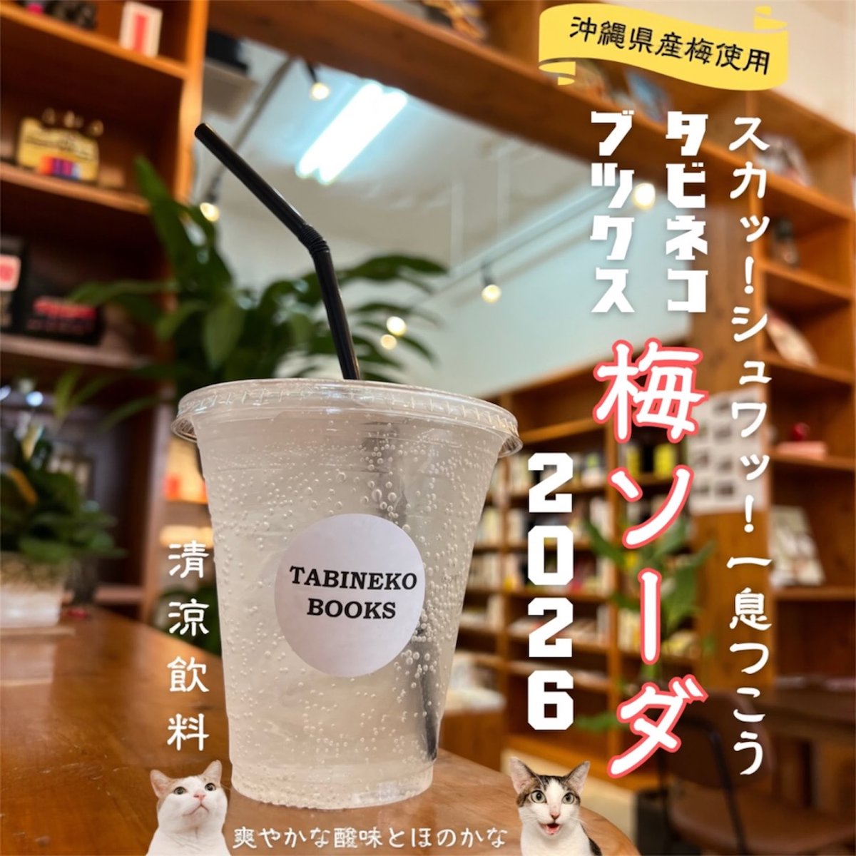 TabinekoBooks's tweet photo. 【6月営業日カレンダー】

梅雨の晴れ間で、また徐々に暑い日々がはじまってきましたね。

タビネコでは、この季節にぴったりな、
「2026年のタビネコ梅ソーダ」の販売を開始しています。

お気に入りの本を片手に、スカッ！シュワッ！と、タビネコで一息つきにきませんか？🥤 https://t.co/SKXZFjmAw7