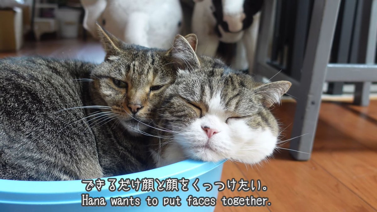 good_faces_bot's tweet photo. https://t.co/ugU8PSUIvo