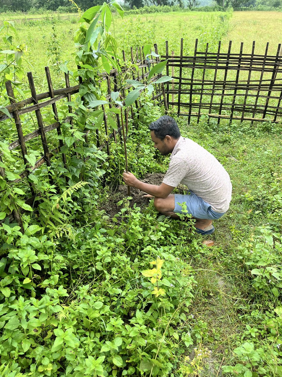 ParthaProtimDmj's tweet photo. ‘एक पेड़ माँ के नाम’

“Save the trees today , Secure your life tomorrow.”

Planted different varieties of saplings on the occasion of World Environment Day.

Let’s celebrate together 
Happy World Environment Day https://t.co/Ve91mDky8Y