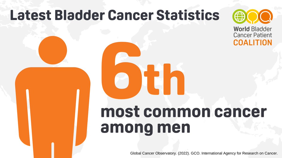 WorldBladderCan's tweet photo. 📊 In 2022, 523,674 men were diagnosed with bladder cancer worldwide, representing 5.4% of all male cancer diagnoses.
Yet awareness of the symptoms remains far too low.
🩸 Blood in urine should never be ignored.
#BladderCancer #GetChecked #BladderCancerMonth26 https://t.co/DhwfGYOPRA