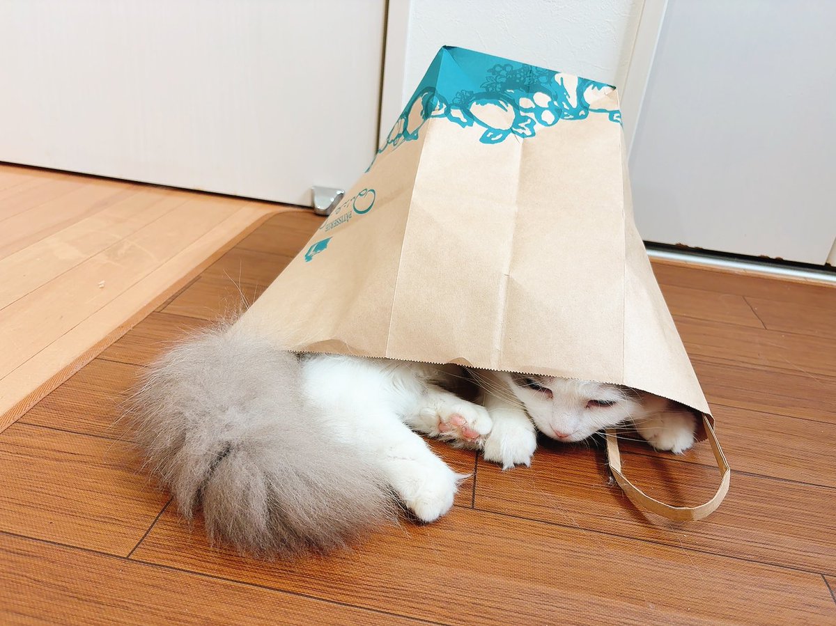 Keith_hamham's tweet photo. 紙袋 https://t.co/DWAbME7wgm