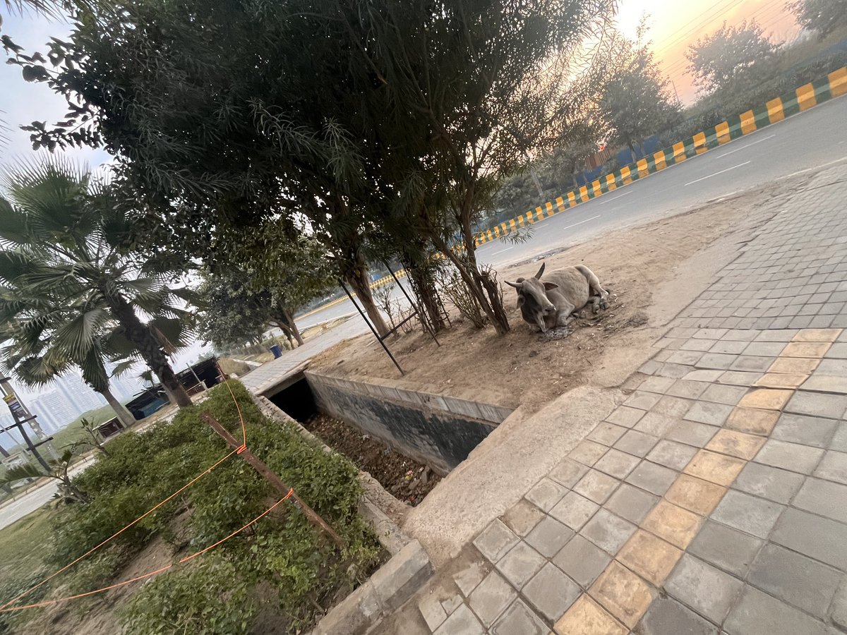Vijeyjaiswal's tweet photo. @CeoNoida @noida_authority @CMOfficeUP @myogioffice despite multiple complaints and jansunwai nothing has been done on deep open drain at Hilston society entrance sector-79, noida. Hi risk to kids who takes school buses &amp; many cases happened due to open drain in noida. Pls cover. https://t.co/sVUCJKQzOx