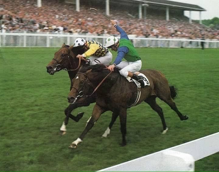 jfarache's tweet photo. 06/06/1984 SECRETO, con los colores venezolanos de la familia Miglietti, logró una sensacional victoria en el Epsom Derby (G1), dominando por fuera en raya al favorito El Gran Señor, dando el 1-2 a los hijos de Northern Dancer en la histórica carrera @LUMITO @harasmontesano 

En los años en los que los hijos de Northern Dancer costaban millones, Luigi Miglietti logró comprarlo comprarlo como yearling en 1982 en @keenelandsales por $ 340.000. Por ser pequeño no llamaba la atención, igual como años atrás sucedió con su famoso padre Northern Dancer. No pudo imaginar Luigi Miglietti que menos de 2 años después de su compra estaría conduciendo a ese mismo pequeño potro a la fotografía tras ganar el famosísimo Epsom Derby (G1), uniéndose a Nijinsky II y The Minstrel como los hijos de Northern Dancer que ganaron la carrera.
