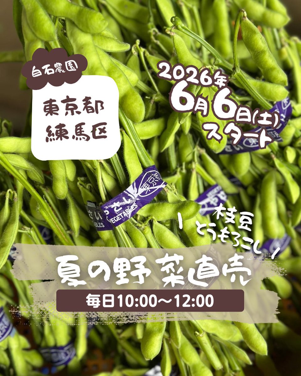 nerinouba's tweet photo. 枝豆と野菜の直売 6月6日(土)からスタート！毎日午前10時〜12時まで作業場前で販売しています🫛
とうもろこしの販売はもう少し先です🌽様子を見てお知らせします！ https://t.co/jHvR5liA7V