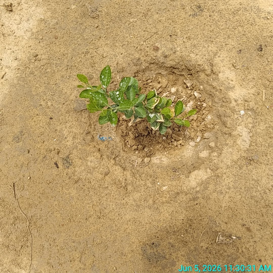 anilkuk54's tweet photo. #WorldEnvironmentDay

Happy World Environment Day 2026! 🌍
Every small action to protect nature makes a big difference. Let's work together to keep our planet clean, green, and sustainable for future generations. https://t.co/oaRAOzithM
