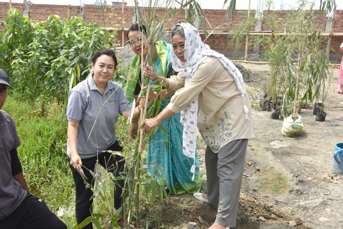 DBT_IBSD's tweet photo. World Environment Day 2026 was celebrated at BRIC-IBSD with tree plantation drive to promote environmental conservation &amp; sustainability. The event witnessed enthusiastic participation of staff reaffirming our collective commitment. @DBTIndia @DrJitendraSingh @rajesh_gokhale https://t.co/yrMKC7A6rS