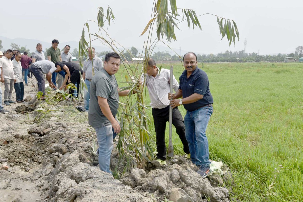 DBT_IBSD's tweet photo. World Environment Day 2026 was celebrated at BRIC-IBSD with tree plantation drive to promote environmental conservation &amp; sustainability. The event witnessed enthusiastic participation of staff reaffirming our collective commitment. @DBTIndia @DrJitendraSingh @rajesh_gokhale https://t.co/yrMKC7A6rS