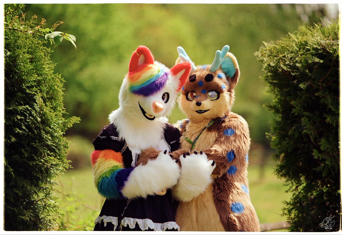 fuchsrehchen's tweet photo. Enjoying the Time Together 🥰

🌈: @AkaiiPanda
📷: @HiryuTheDragon

Thank you for the Woderful Picture https://t.co/ewdHztE40S