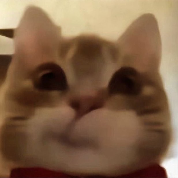 ชูชู ૮꒰ ᵕ ༝ ᵕ ꒱ა 𐙚 tweet media