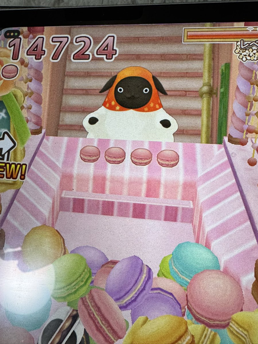 charix55's tweet photo. 先日ふと思い出してマカロンやってた。

マカロン14000超。

フィギュアもマカロンもコンプリートしてるのに止められない。

#やんやんマチコ https://t.co/iEUjIs8NCB