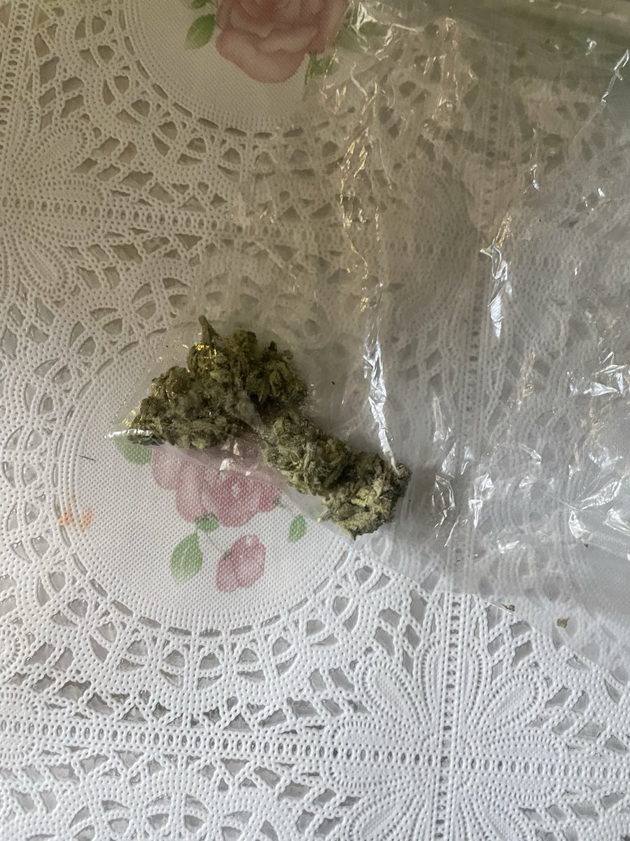 darlingdjarin's tweet photo. go see I love boosters bc u never know what might happen 
i walked out of my showing and saw god in a form of a small baggie of sticky weed https://t.co/LUMPBkMPwE