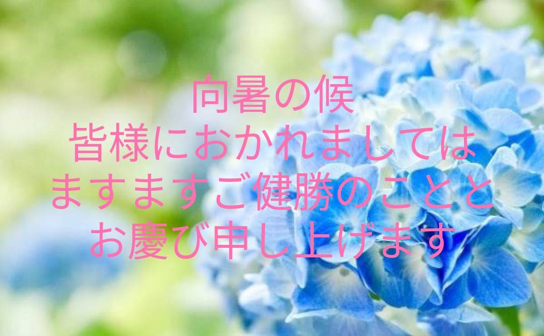 BarTorch's tweet photo. 🍻本日も元気に2️⃣0️⃣時OPEN🍻

直人ママ 
崇 OPEN〜
聖さん 22時〜
りょうが 3時〜
しのぶ 朝〜

📣オススメ📣
🍶新銘柄 日本酒ございます🍶
ご注文の際はどうぞお気軽にスタッフまで♪

涼風の曇天🍃
土日の行楽前に是非とも心身のリフレッシュを💫

本日も皆様の御来店を心よりお待ちしております🫶 https://t.co/o2eHsDXmnC