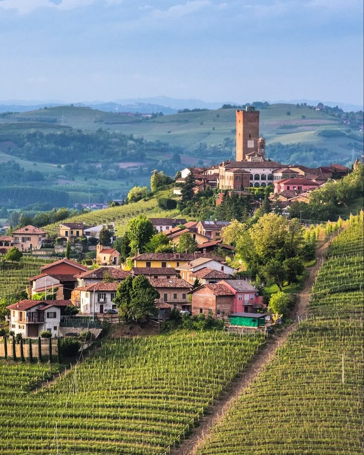 Maxpar68's tweet photo. Buongiorno e buon venerdì a tutti, ma proprio tutti!!!
📷 Barbaresco (Cuneo) https://t.co/PHhJY9p9HP