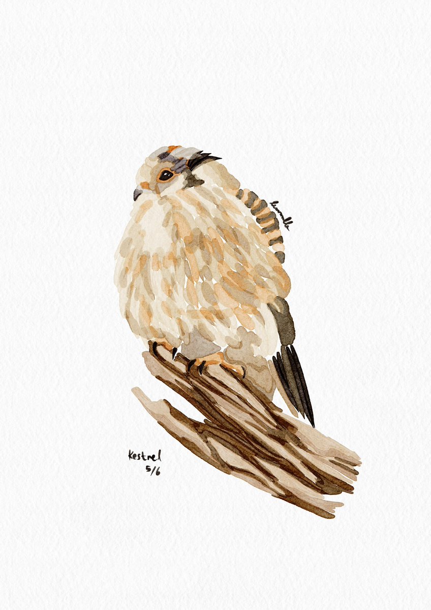 lemcnello's tweet photo. second attempt of drawing today. 😶‍🌫️ https://t.co/MB9XCaSX1A