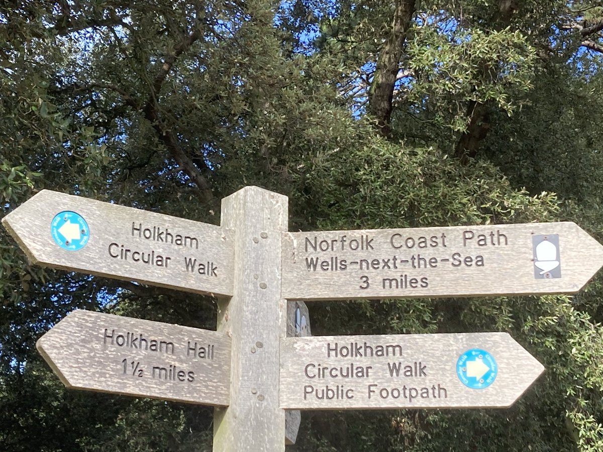 wazzo_m's tweet photo. Norfolk Coast Path #FingerpostFriday #Holkham https://t.co/FDwVu2RaQh
