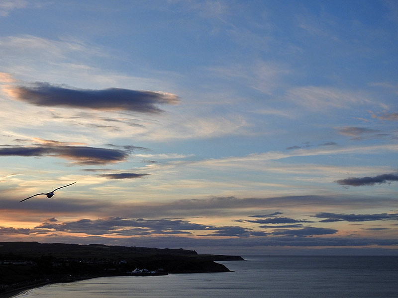 FeelBetter2day's tweet photo. Sunset  #Scarborough https://t.co/n60els5Zge