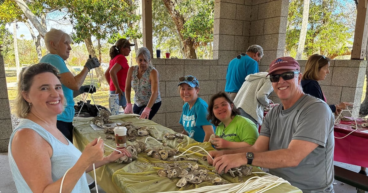 WFTV's tweet photo. Flagler County to improve water quality with free oyster gardens at parks https://t.co/5qsJRpVj9r https://t.co/Z3laao4O8a