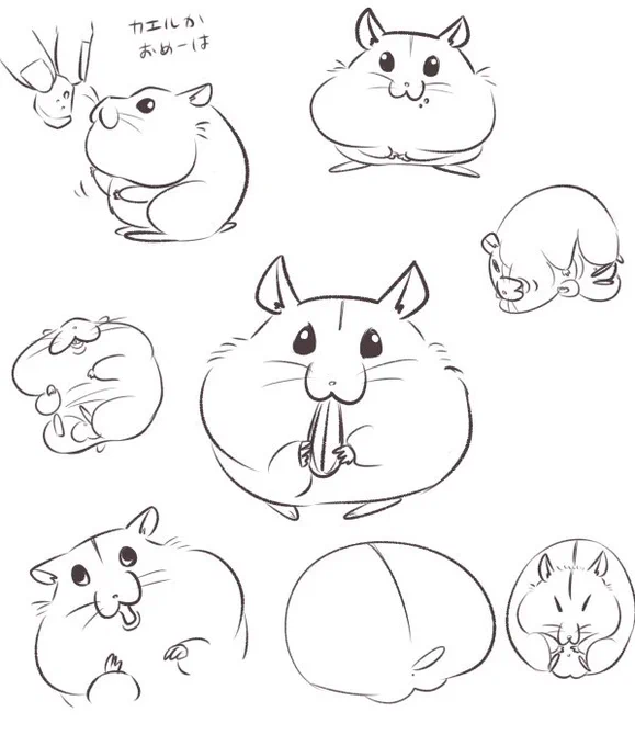 ハムを描く練習し続けてきてそろそろ自分なりのハムを固めてきたいんだけど仕上がってきたかもな 