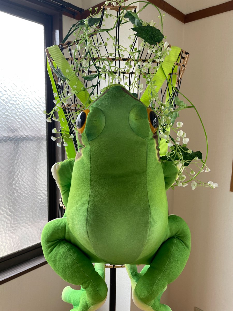 OL34988232's tweet photo. （こちらはタイ沼アカウントですが‥）
今日から3日間、福岡で🐸イベント『プチっとカエル展』を小倉北区のcafePOLKAさんで開催中です✨九州でカエルイベントって少ないですよ。カエルグッズ好きな人、是非遊びに来てね！ https://t.co/OwyN6NkCP1