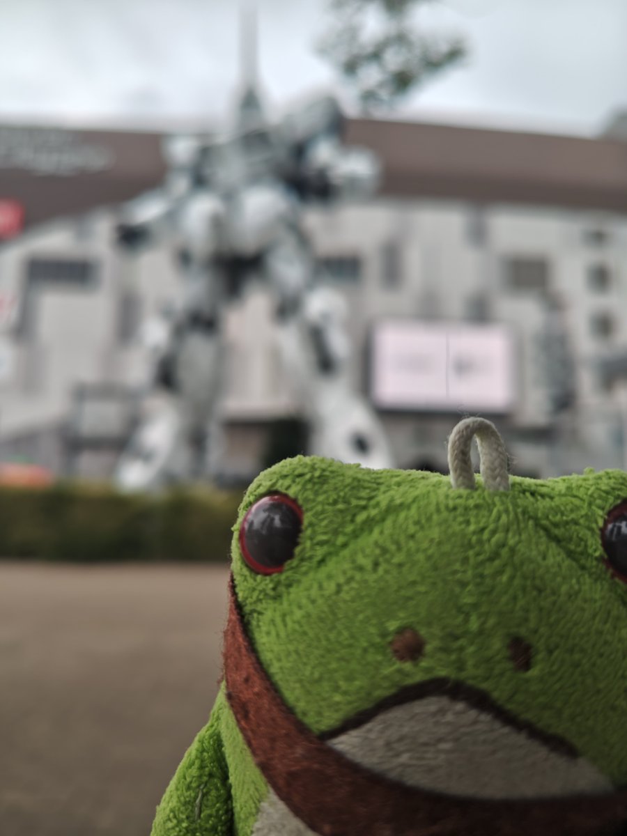 kero_taro's tweet photo. 今日はここに来てるケロ！
後ろがぼやけてるケロ。なんとなく分かってほしいケロ https://t.co/11qD7iMrSj