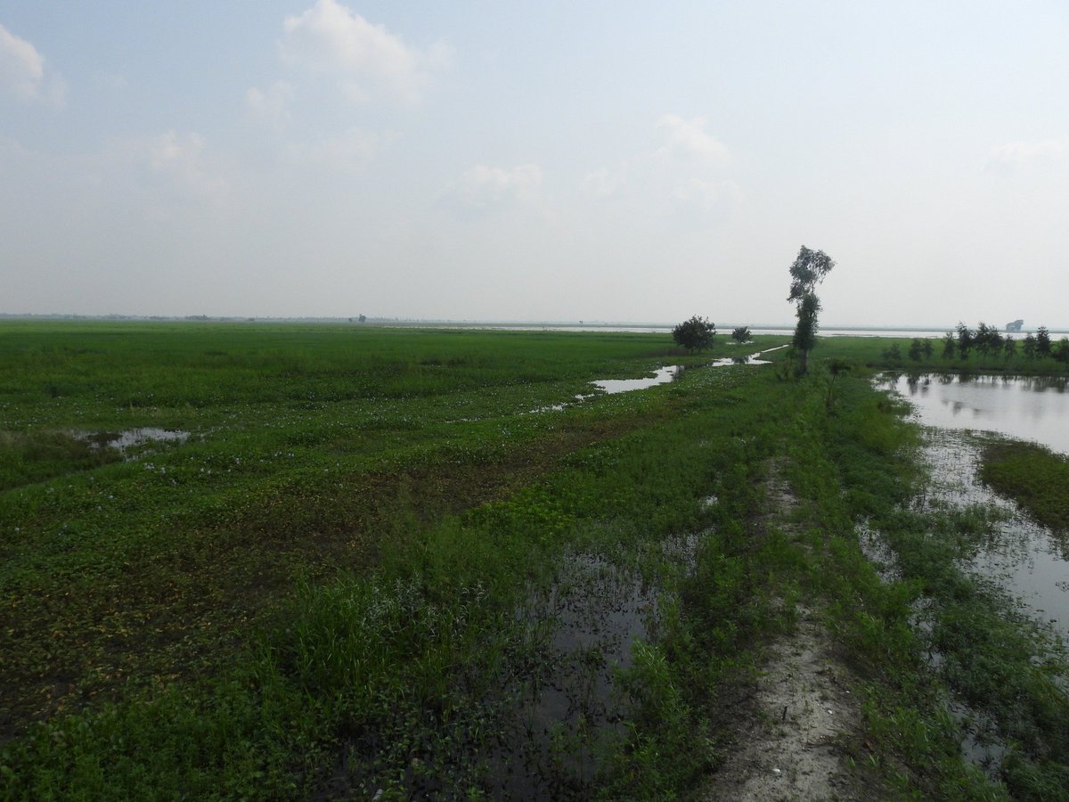 theEcoglobal's tweet photo. The government designates Jai Prakash Narayan Bird Sanctuary (Surha Tal) in Ballia, #UttarPradesh   as India’s 100th #Ramsar site.

 This #wetland is rich in avifaunal biodiversity, attracting several migratory and resident birds.
@moefcc 
@RamsarConv 
@byadavbjp https://t.co/0kU4hPp96S