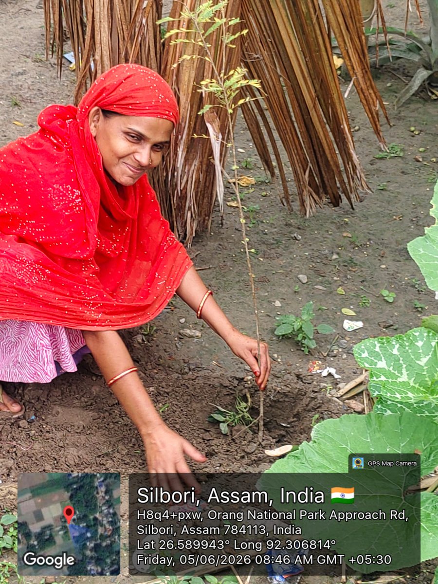 OrangTiger's tweet photo. 🌿 Celebrating #WorldEnvironmentDay at Orang NP&amp;TR through the #EkPedMaaKeNaam campaign with the active participation of Nalbari #EDC &amp; #SHG_members with commitment towards a greener future.
@moefcc
@ntca_india
@CMOfficeAssam
@assamforest
@pradipta_baruah https://t.co/s0iCQkrtQY
