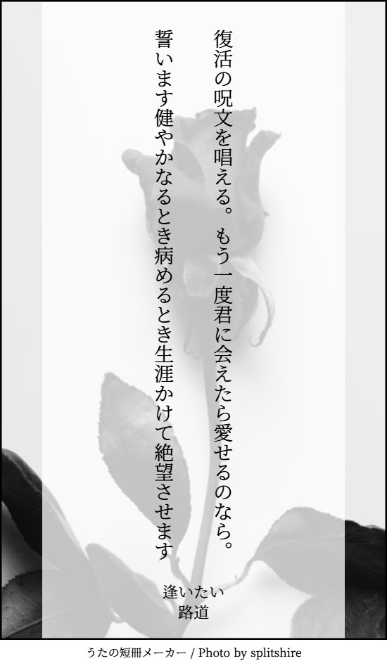 路道 tweet media