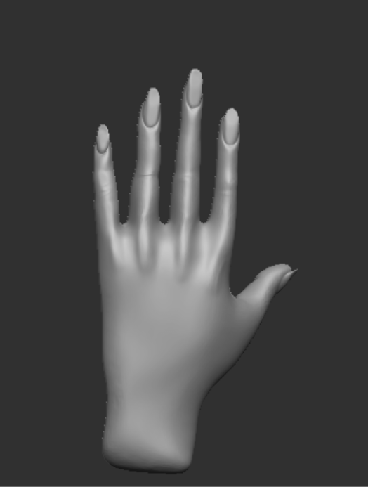 nympheula's tweet photo. not bad for a first attempt at hand modelling,,, i did go through crisis halfway thru still

#3dmodel #3dart #zbrush #smallartist #3dmodelling https://t.co/YjCsNAx4Xw