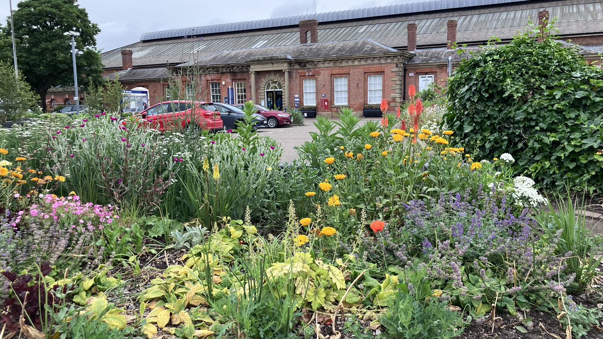 jo_makel's tweet photo. So @looknorthBBC and @RadioHumberside are celebrating volunteers today. And one group who should get a huge👏👏 is @beverleyinbloom  Thanks to their planting, is there a nicer train station car park ? https://t.co/ZFx9R1kvkr