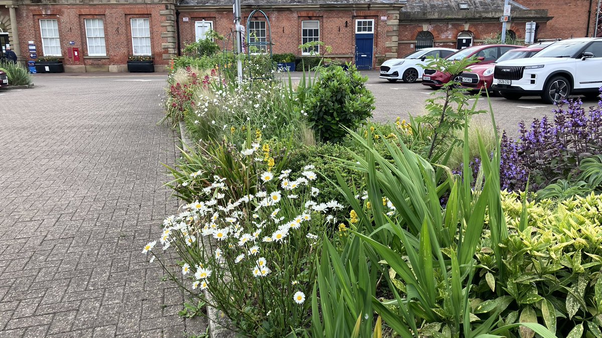 jo_makel's tweet photo. So @looknorthBBC and @RadioHumberside are celebrating volunteers today. And one group who should get a huge👏👏 is @beverleyinbloom  Thanks to their planting, is there a nicer train station car park ? https://t.co/ZFx9R1kvkr