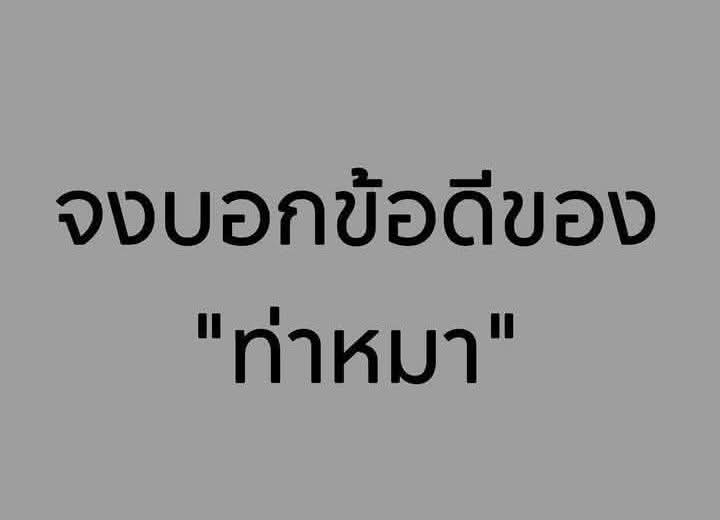 Great fun tweet media