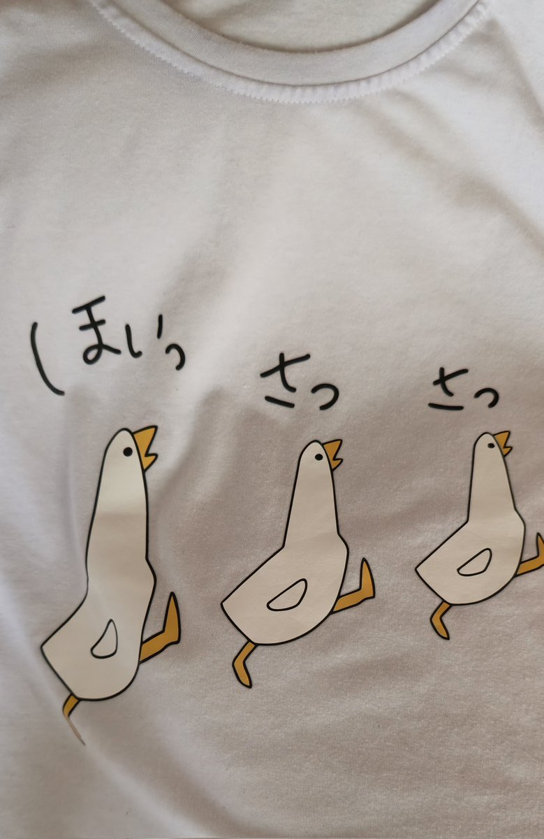 xeon0803's tweet photo. 剥がれたりすると思ってたけど未だに元気な家用アヒルT https://t.co/ow1qKlH2Kz